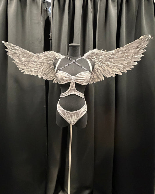 Silver Angel Wings(Silver)